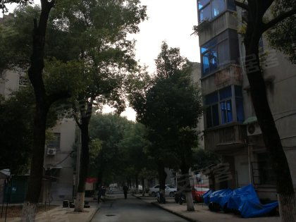 戚廠工房北區(qū)深度解析 居住優(yōu)勢與不足，以及周邊經(jīng)紀人專業(yè)評價