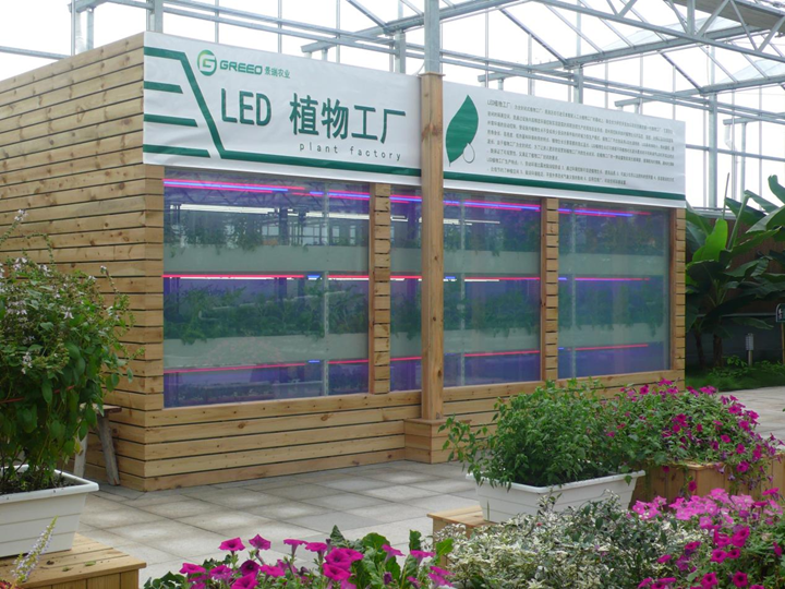 科技賦能沃土，綠滿通州菜園——南通通州科技與農業深度融合走出綠色致富新路徑